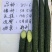 黄瓜种子绿满心顺直油量膨果快抗病高产20克