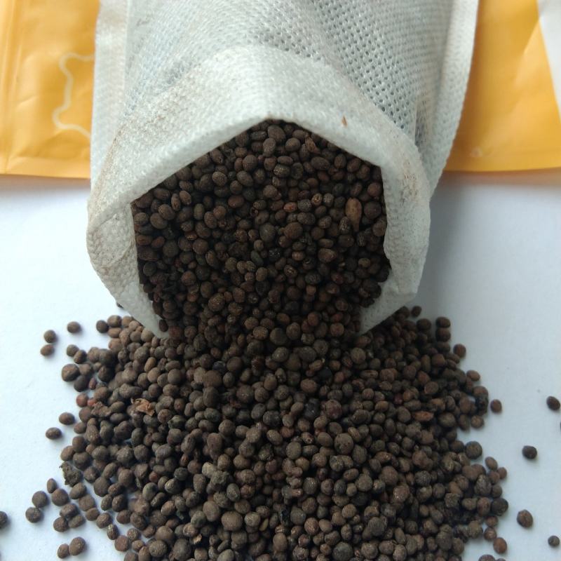 凤仙花种子指甲花子小桃红急性子花卉绿化可在线交易
