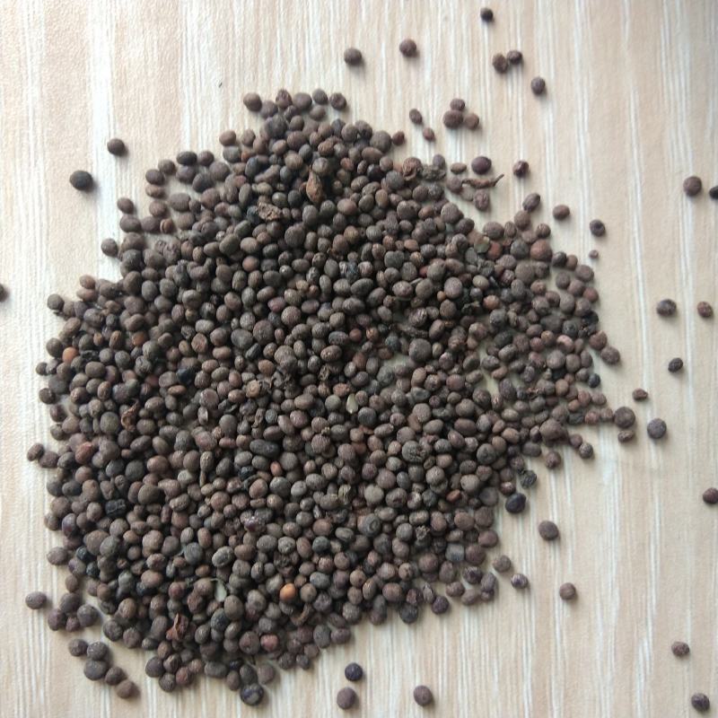 凤仙花种子指甲花子小桃红急性子花卉绿化可在线交易