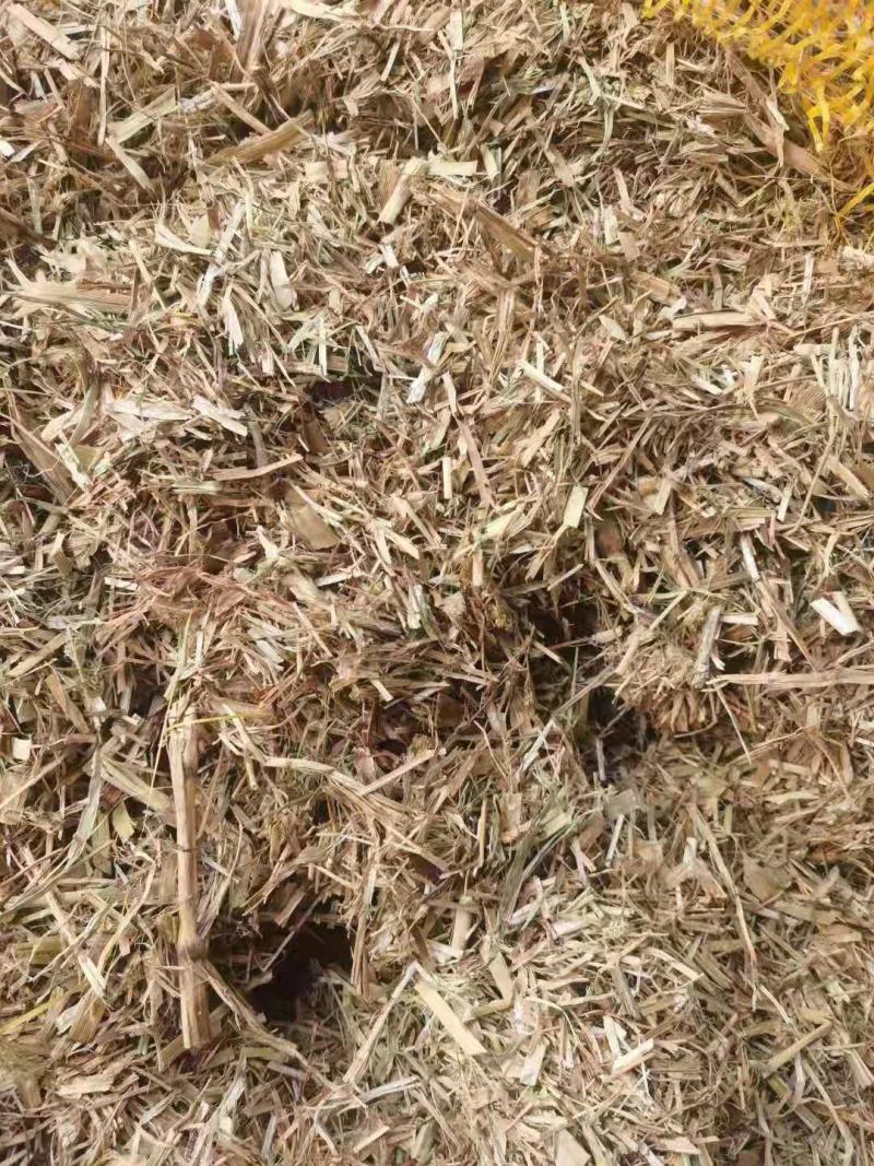 厂家大量供应优质谷草，干稻草牛羊牧草，稻草常年有货。