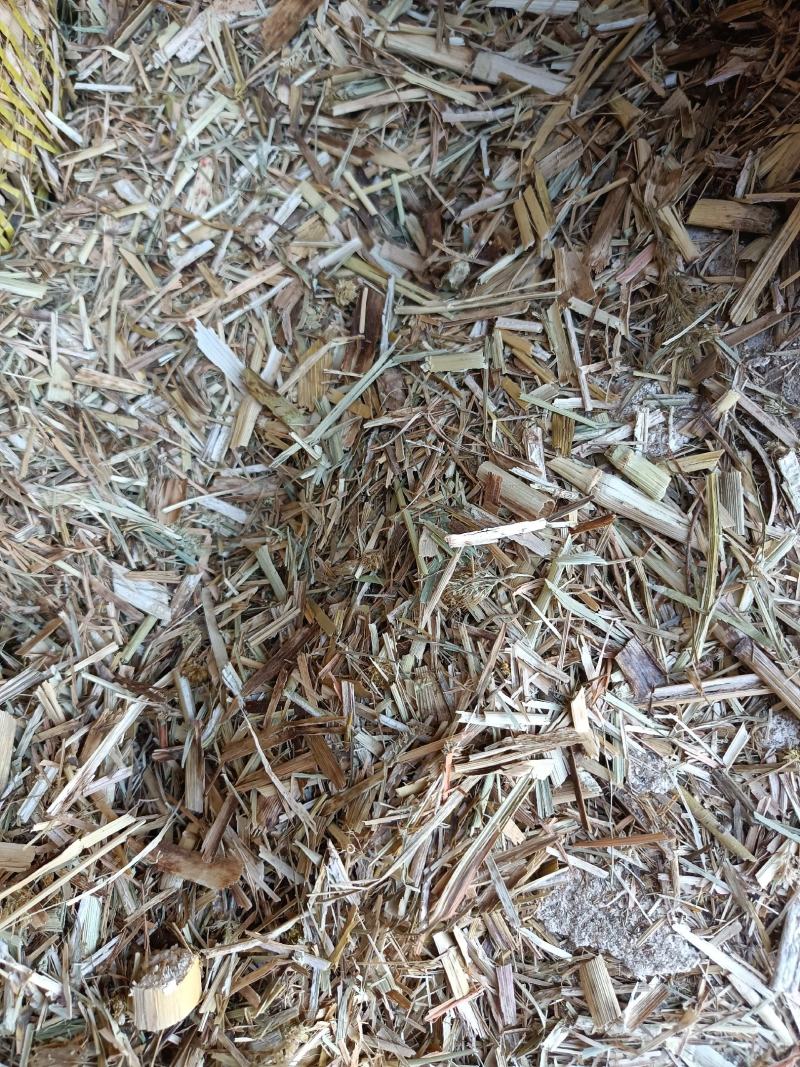 厂家大量供应优质谷草，干稻草牛羊牧草，稻草常年有货。