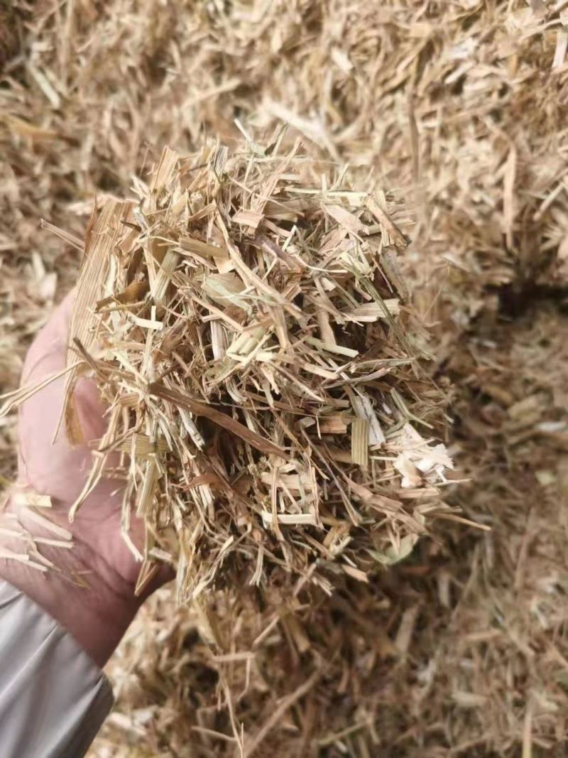 厂家大量供应优质谷草，干稻草牛羊牧草，稻草常年有货。