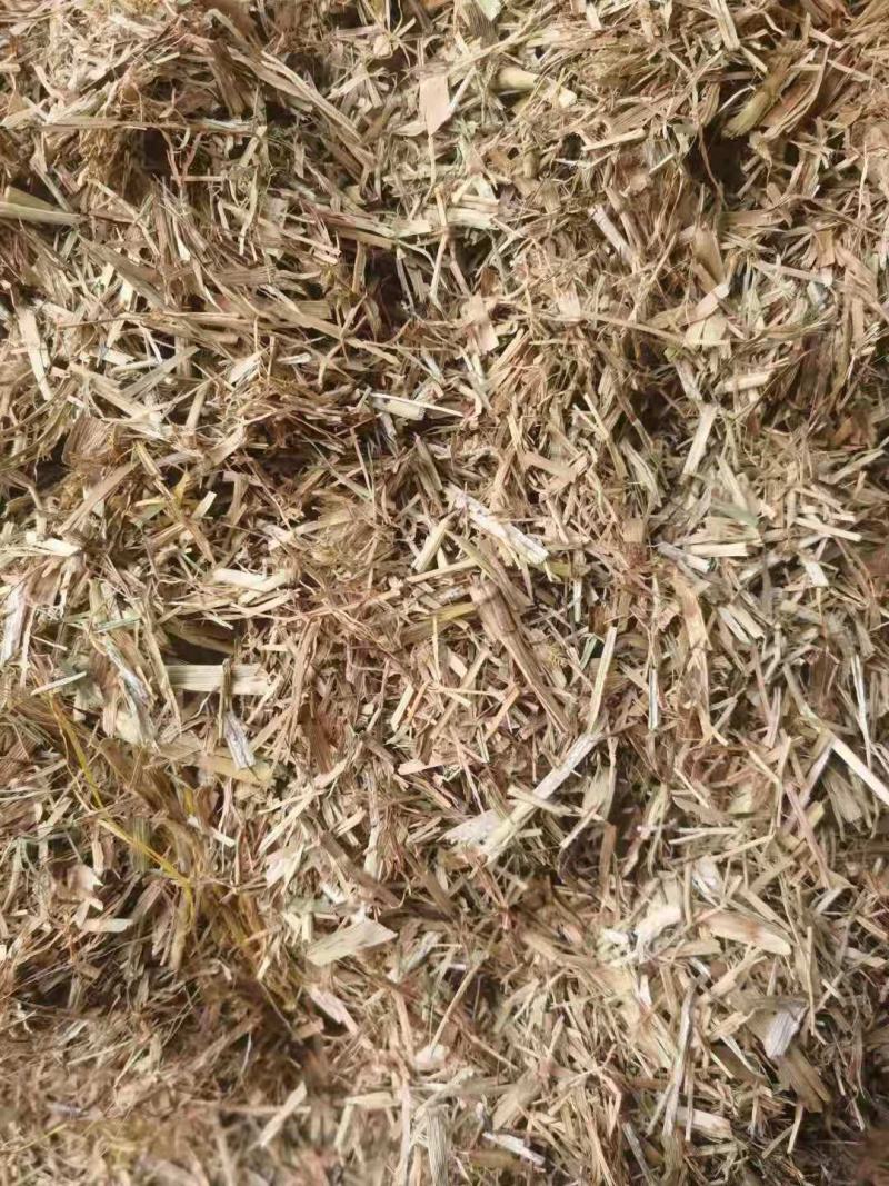 厂家大量供应优质谷草，干稻草牛羊牧草，稻草常年有货。