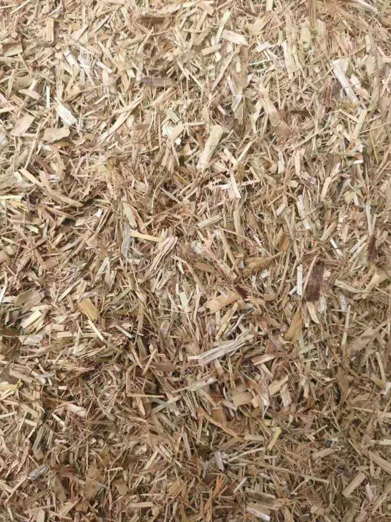 厂家大量供应优质谷草，干稻草牛羊牧草，稻草常年有货。