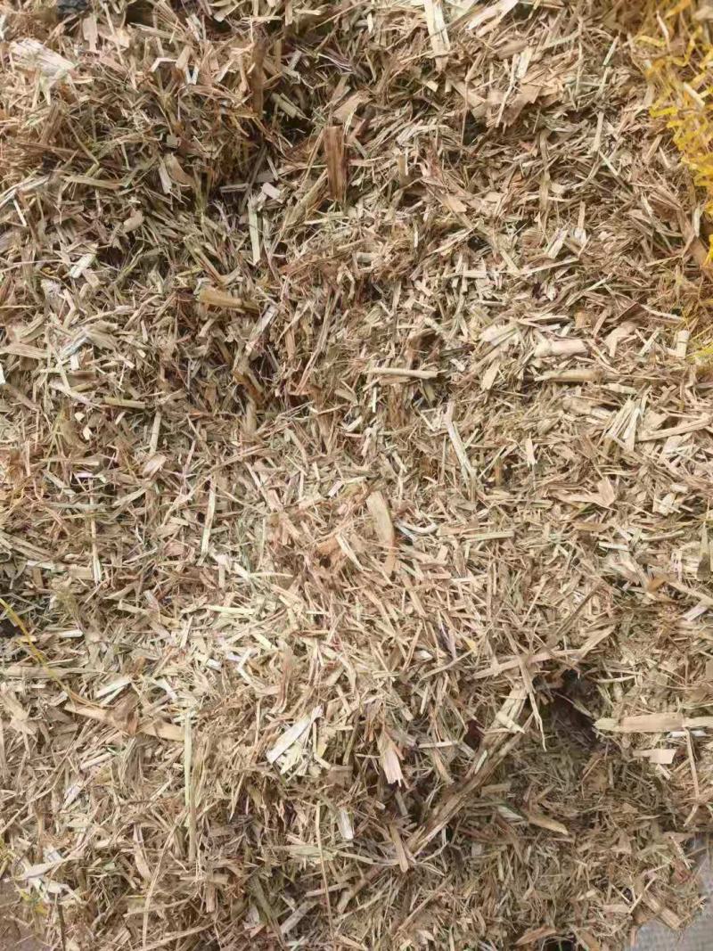 厂家大量供应优质谷草，干稻草牛羊牧草，稻草常年有货。