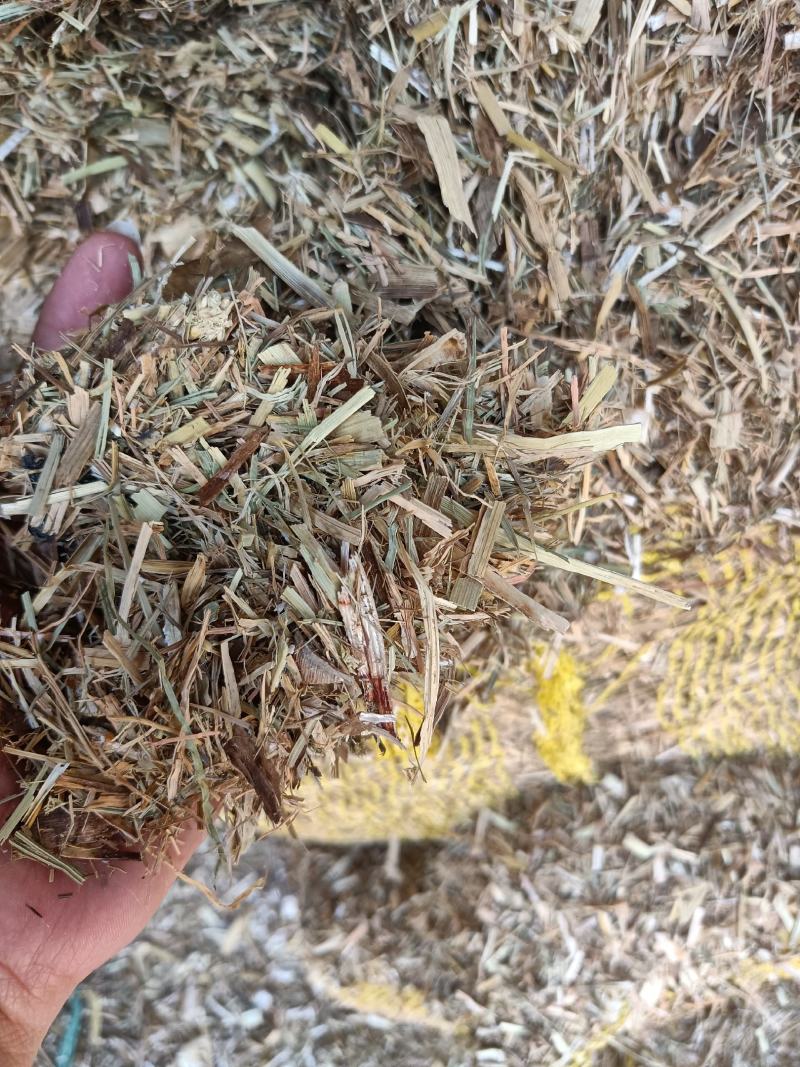 厂家大量供应优质谷草，干稻草牛羊牧草，稻草常年有货。