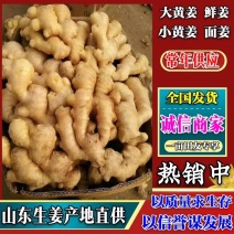 生姜产地直销一手货源价格便宜质量保证，大黄姜小黄姜