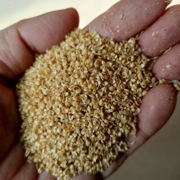 大量供应小米壳，小米糠，养殖饲料枕芯添加，保质保量。