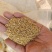 大量供应小米壳，小米糠，养殖饲料枕芯添加，保质保量。