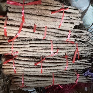 山东荷泽市铁杆山药山药苗自家种植，量大优惠