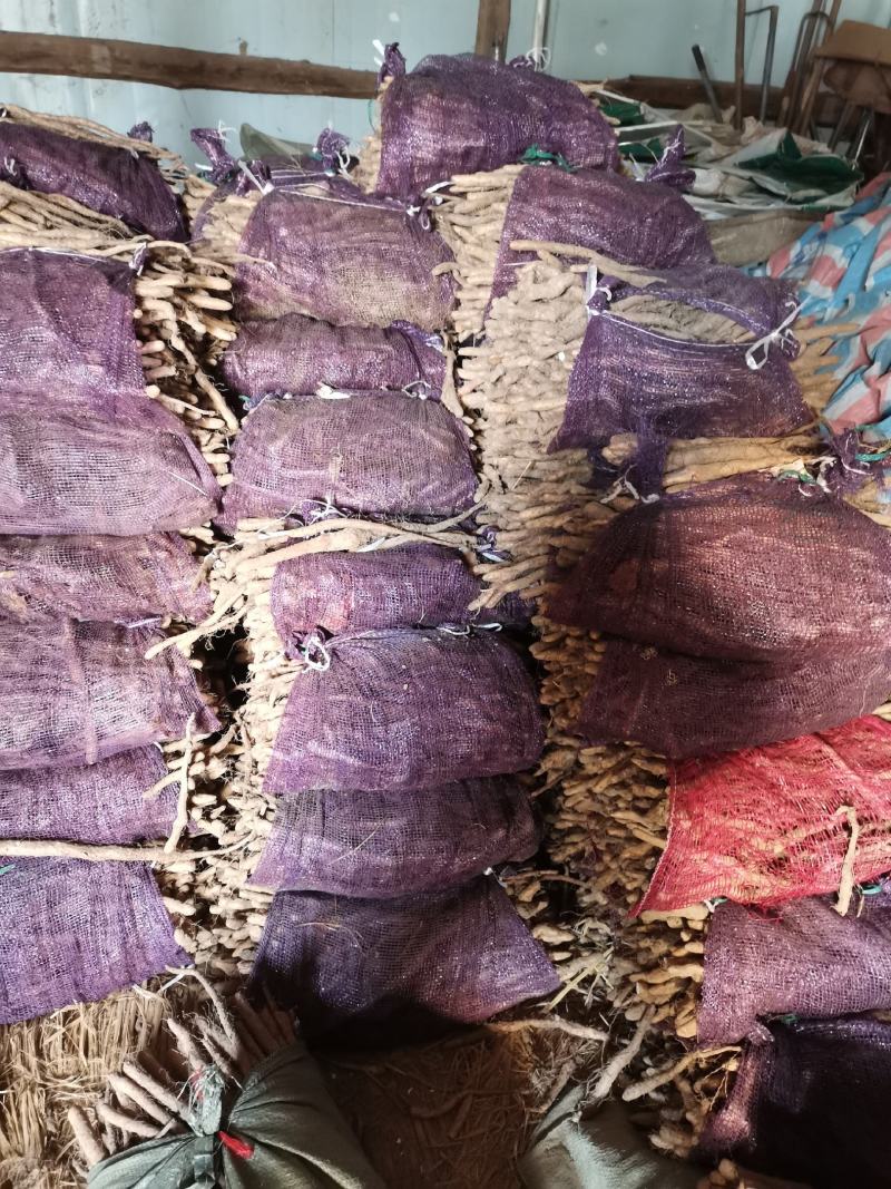 山东荷泽市铁杆山药山药苗自家种植，量大优惠