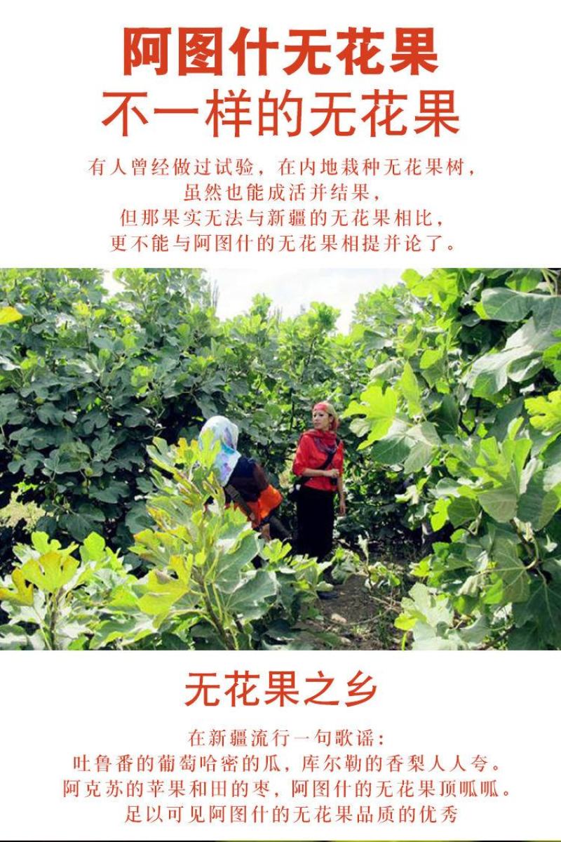 新货无花果干新疆特产小无花果干果肉饱满产地超值包邮