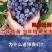 蓝莓苗，北路，蓝金，蓝枫，智力杜克，瑞卡，东北抗死苗补发