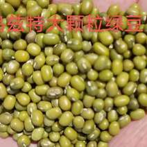 绿豆缅甸特产油绿豆商品级