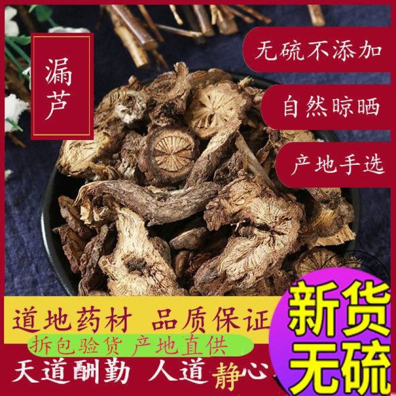 漏芦质量优品质好产地直发代抓各种中药方