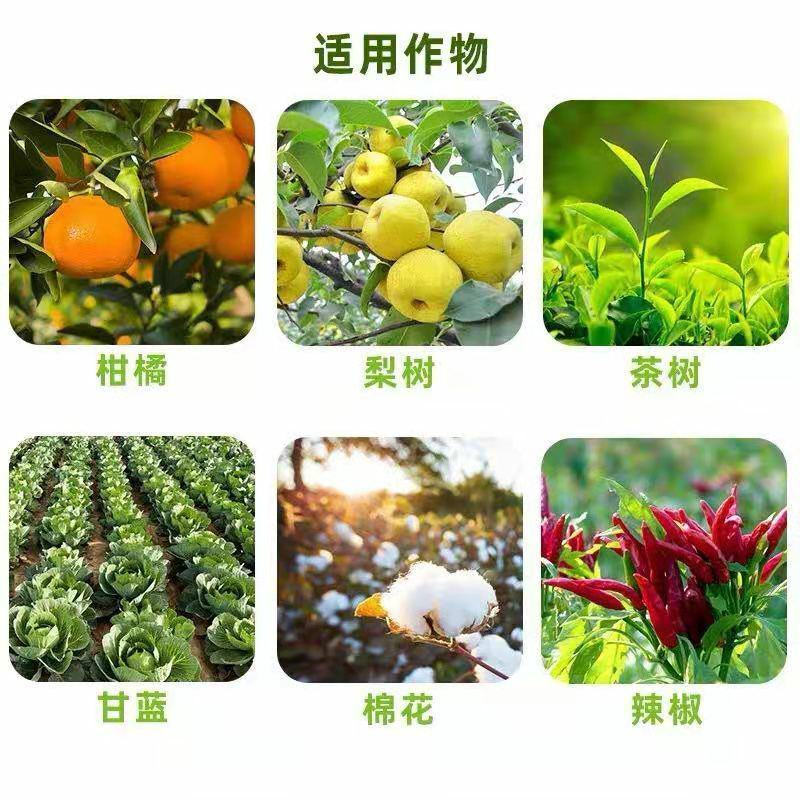 噻虫嗪高效氯氟氰菊酯菜青虫蚜虫蓟马噻虫高氯氟农药杀虫剂