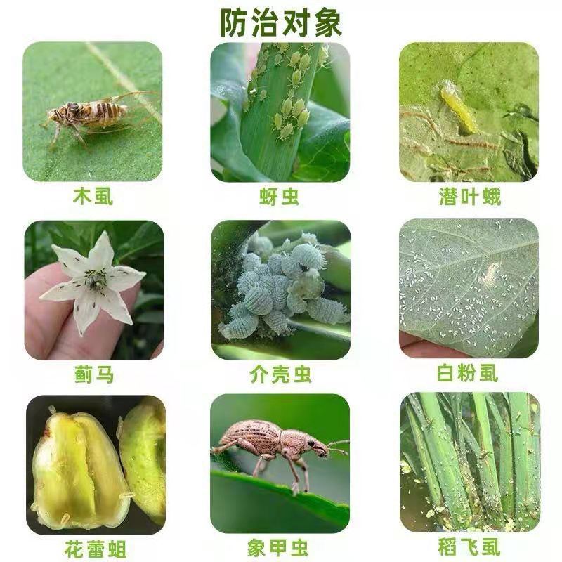 噻虫嗪高效氯氟氰菊酯菜青虫蚜虫蓟马噻虫高氯氟农药杀虫剂