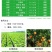 噻虫嗪高效氯氟氰菊酯菜青虫蚜虫蓟马噻虫高氯氟农药杀虫剂