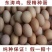 东涛鸡种蛋包100%受精10个起包邮