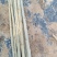 泗水县杨柳镇郭家庄村白皮，无棉107种苗销售中，2个左右