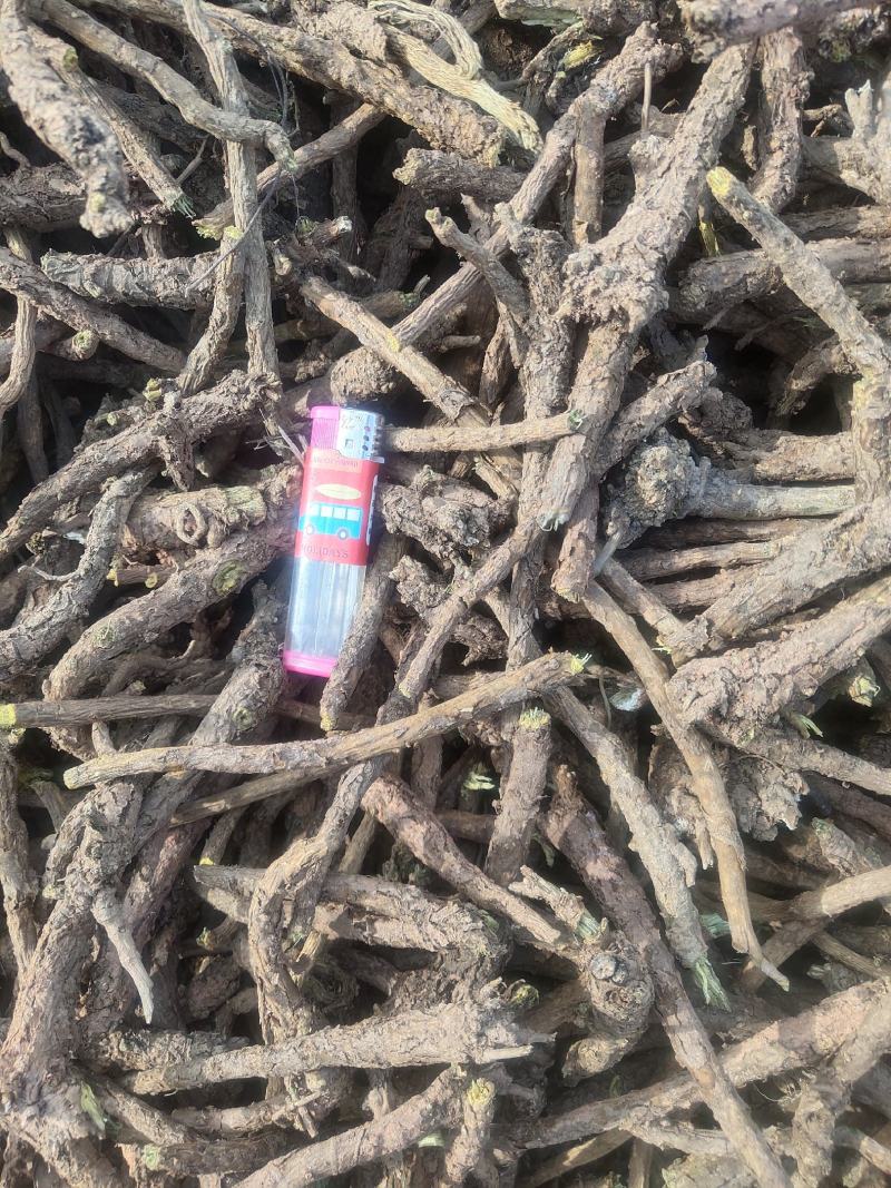 家种黄芩，选条，统货，三年生，两年半生，干度好干净芜杂，