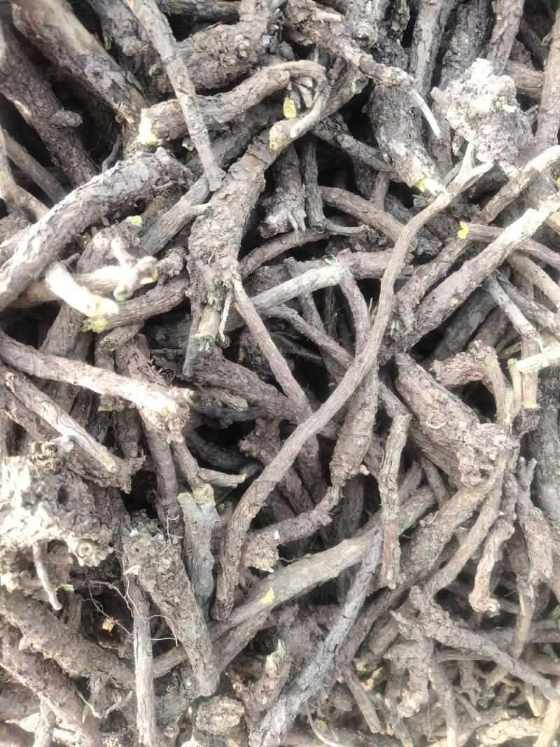 家种黄芩，选条，统货，三年生，两年半生，干度好干净芜杂，