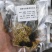 独脚金汤包10小袋10次用量适用于小孩积食不消化大便硬