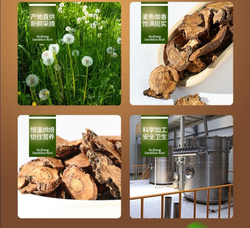 【精品】吉林长白山蒲公英根茶保质保量欢迎选购
