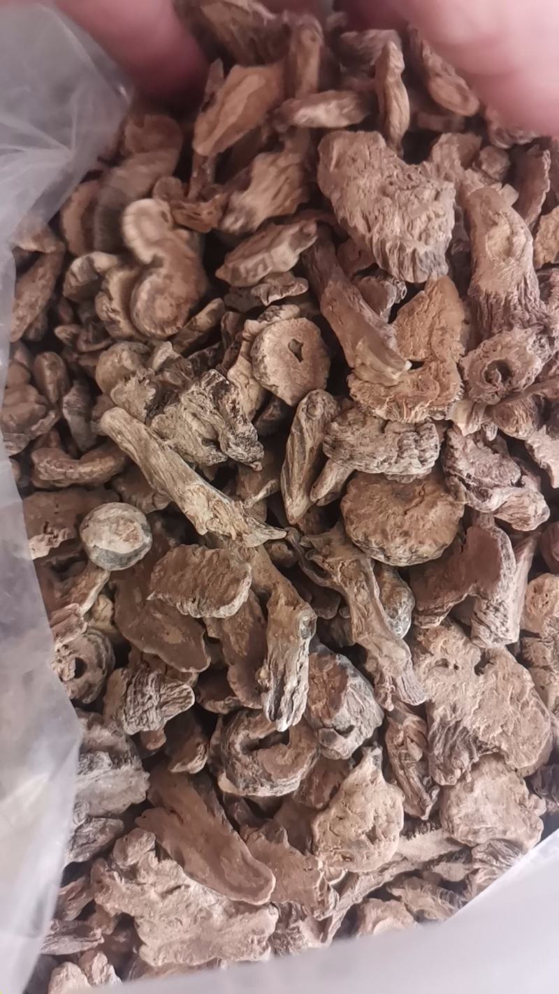 【精品】吉林长白山蒲公英根茶保质保量欢迎选购