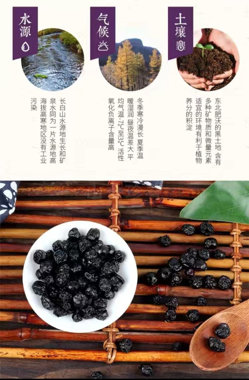 蓝莓干，长白山靖宇县种植蓝莓烘干，口感嘎嘎好