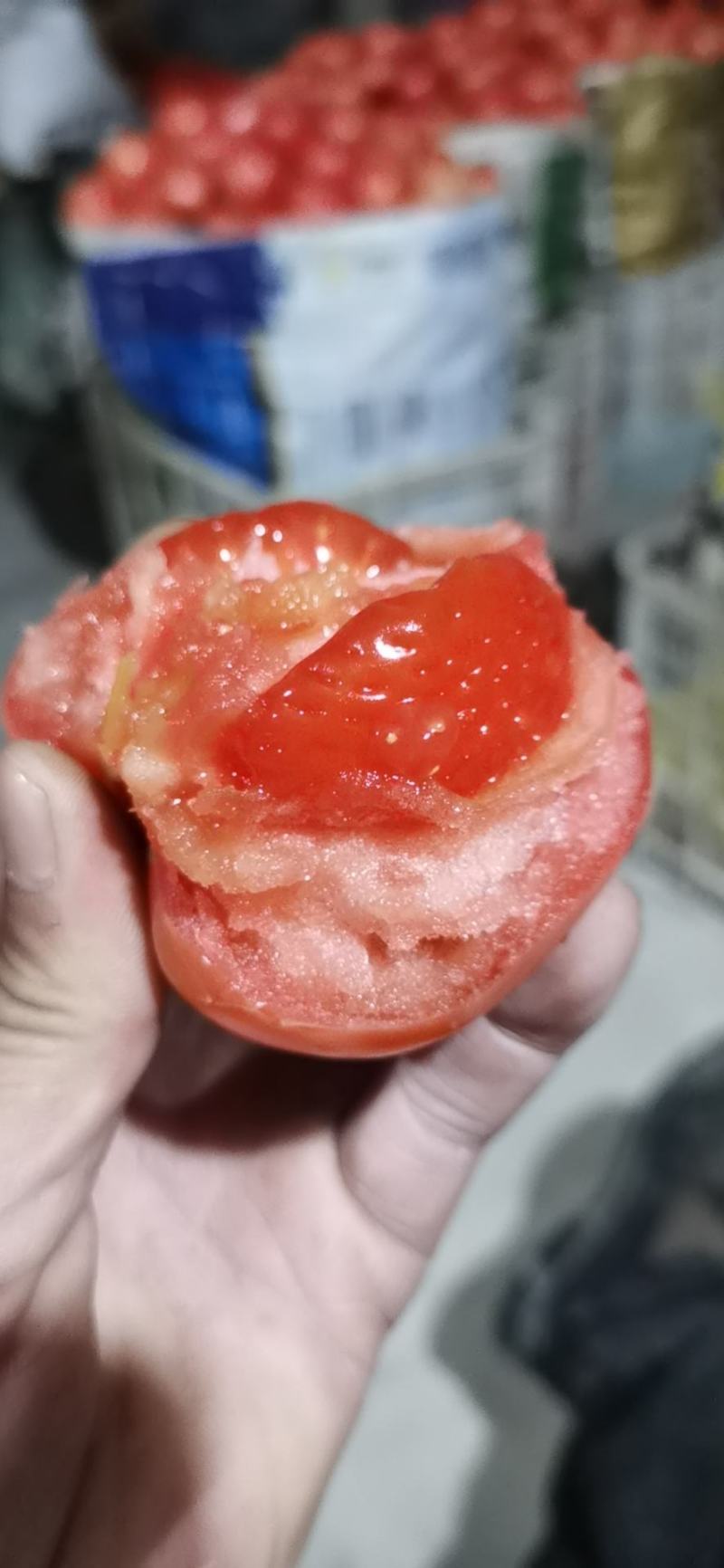临沂基地直发西红柿硬粉西红柿通货硬粉弧三以上品质保证