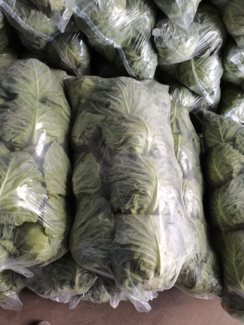 徐州甘蓝以大量上市了，欢迎新老客户！！！！！！