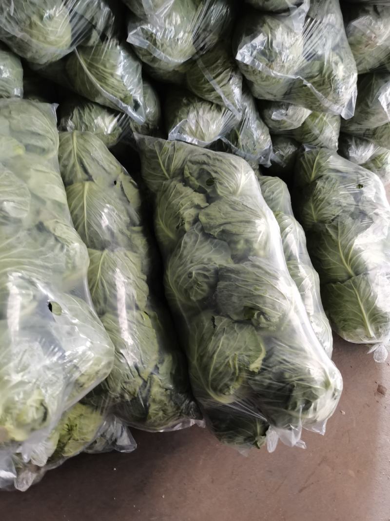 徐州甘蓝以大量上市了，欢迎新老客户！！！！！！