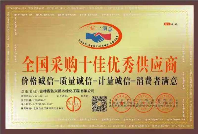 黑加仑苗，保质保量，欢迎选购