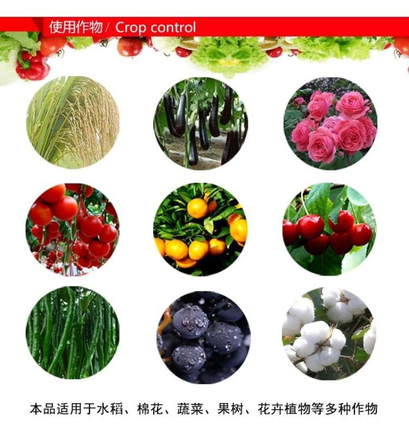 海纳金睛阿维菌素+烯啶虫胺蚜虫白粉虱飞虱专用杀虫剂组合装