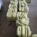 黄瓜，农家老黄瓜，口感佳，质量好场地直供，
