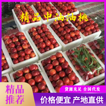 山东精品【中油油桃】大量供应产地一手货源价格便宜