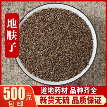 中药地肤子别称扫帚苗子地葵地麦产地直发量大优惠