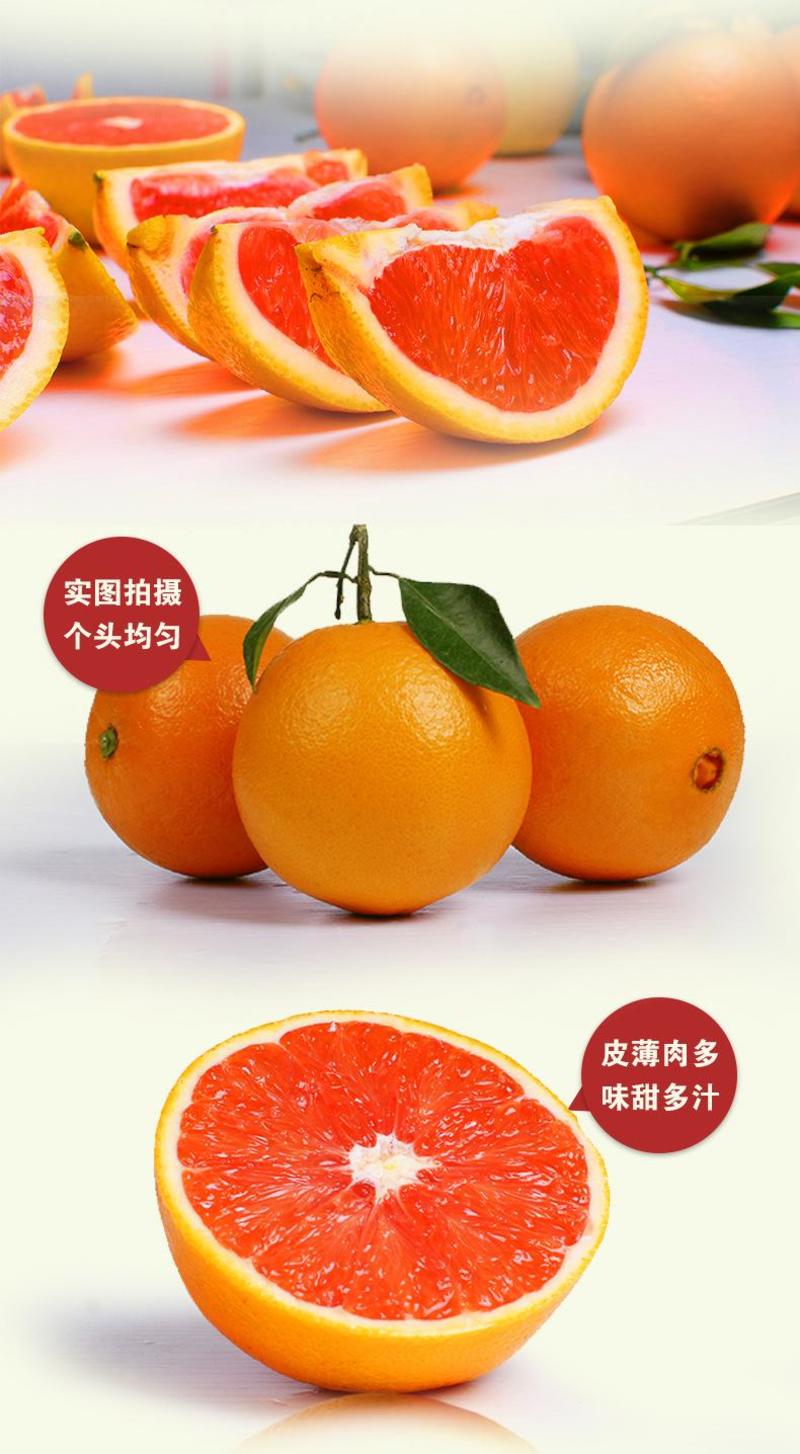秭归中华红血橙/红心脐橙甜蜜汁多地头看果采果全国发货