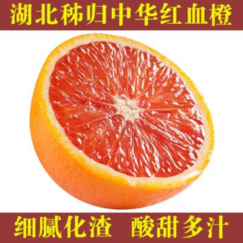 秭归中华红血橙/红心脐橙甜蜜汁多地头看果采果全国发货