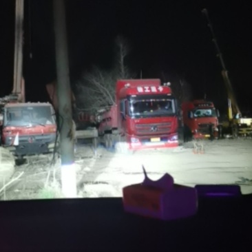 专业大量供应银杏实生树苗