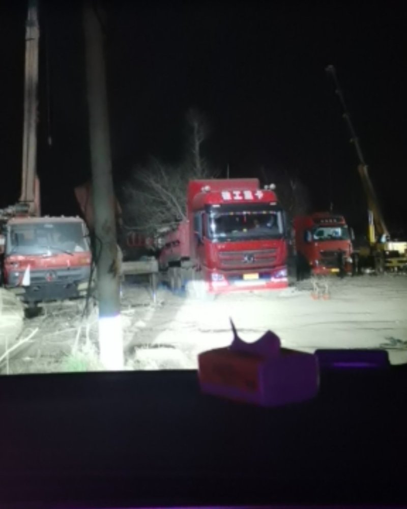 专业大量供应银杏实生树苗