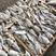 厂家货源淡水鱼去头加洲鲈鱼干新货大量上市批发价格便宜