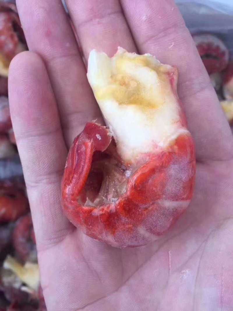 承接对外小龙虾尾包冰业务小龙虾尾刨冰水产品蔬菜全国包冰！