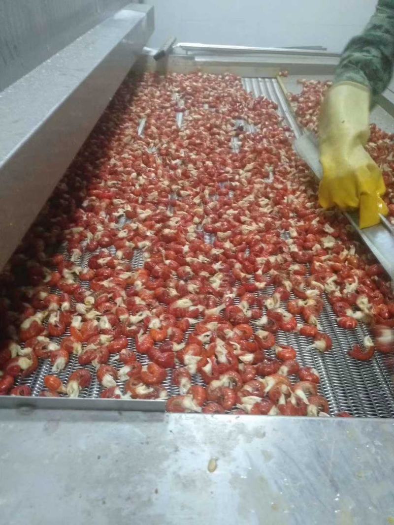 承接对外小龙虾尾包冰业务小龙虾尾刨冰水产品蔬菜全国包冰！