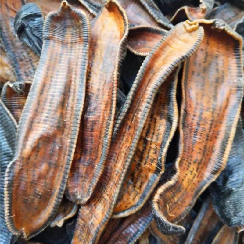 水蛭外用药材大量有货需要联系我不满意可以退换货