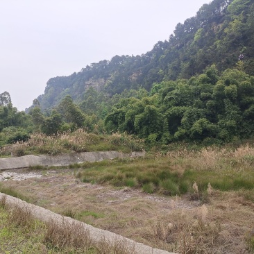 优质土地出租合作、可做民宿养养