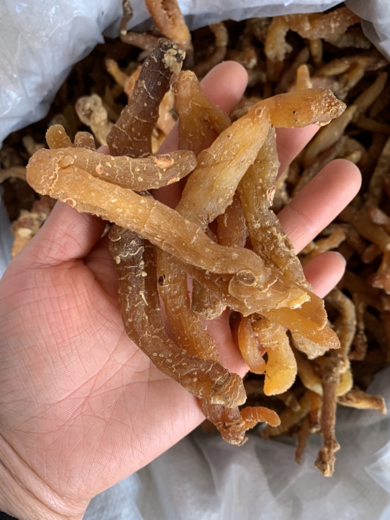 玉竹红茬玉竹好货图片实拍1公斤起批