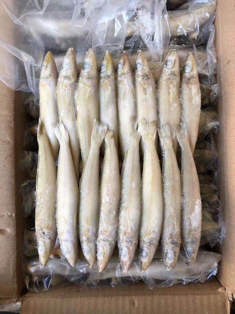 印尼沙尖鱼批发一手货源长期稳定供货