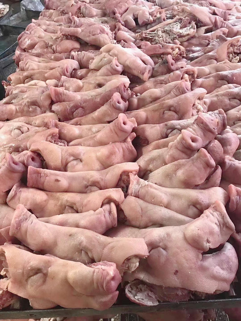 猪头肉————头白无毛